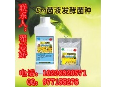 生物饲料发酵剂与微生物菌种购买指南 渠道、选择与注意事项