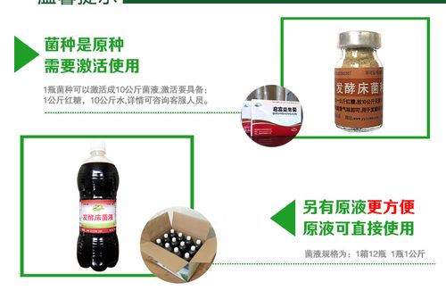 发酵床养蛇是否可行？微生物菌种选择才是成败关键